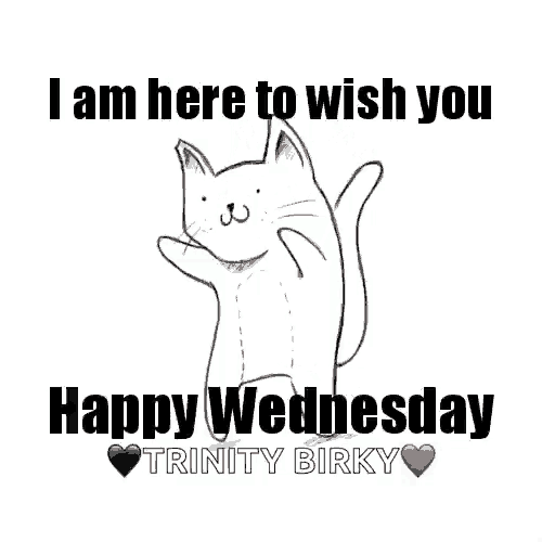 a black and white drawing of a cat with the words i am here to wish you happy wednesday trinity birky