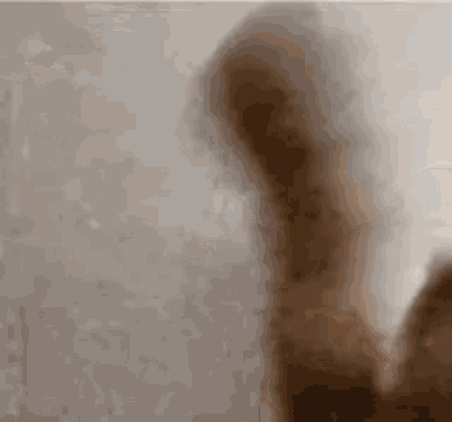 a close up of a person 's arm behind a glass wall .