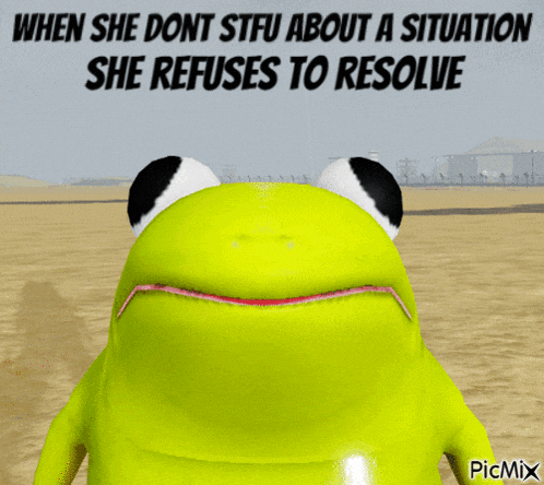 a picture of a frog with the words when she dont stfu about a situation she refuses to resolve