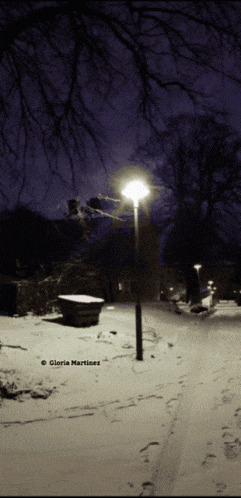gloria martines took this photo of a snowy park