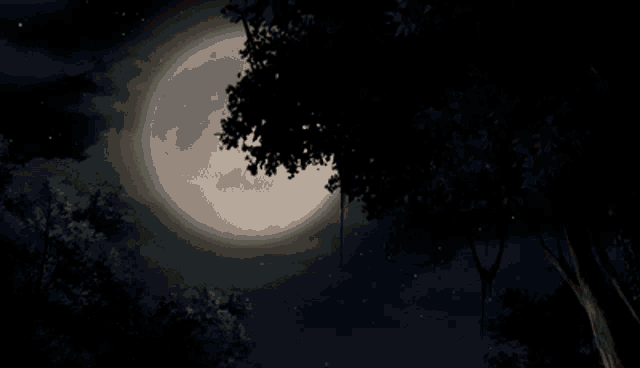 a woman in a superhero costume stands in front of a full moon at night