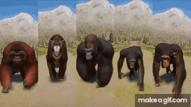 Primate Race GIF - Primate Race Running GIFs