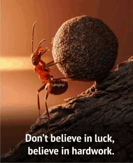 an ant pushing a large rock up a hill with the words " don 't believe in luck believe in hardwork " below it