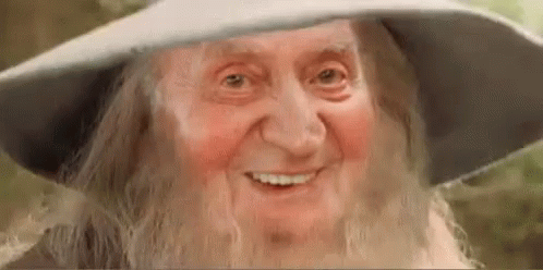 King Lord Of The Rings GIF - King Lord Of The Rings Goofy GIFs
