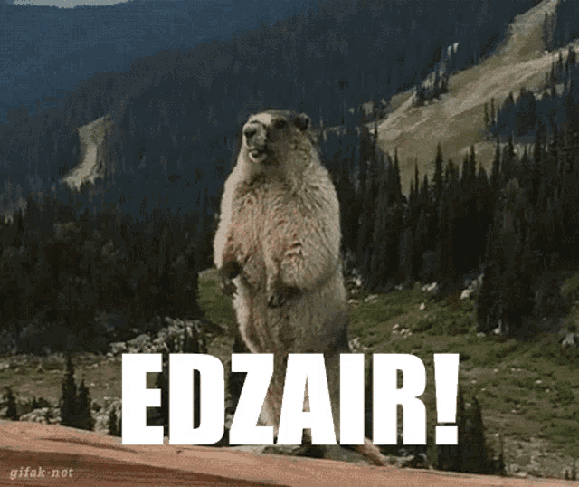 a ground squirrel standing on its hind legs with the word edzair written on the bottom