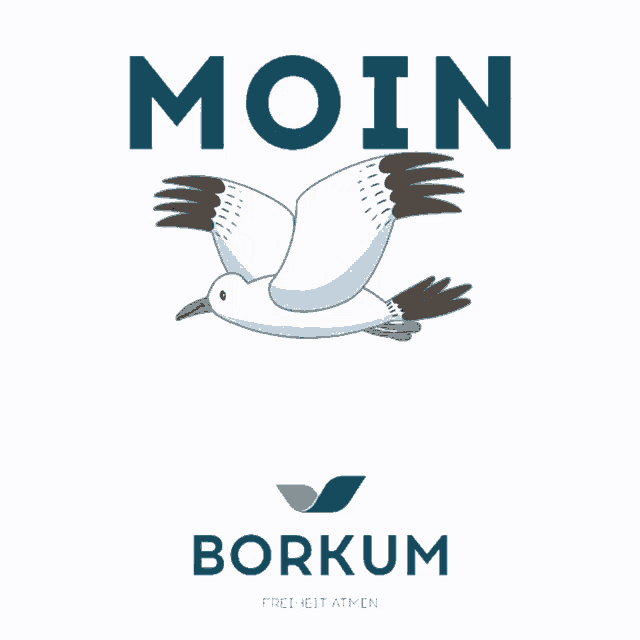 a poster with a seagull and the words moin borkum on it