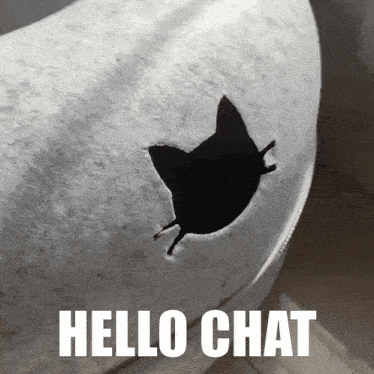 Hello Chat GIF - Hello Chat Discord GIFs