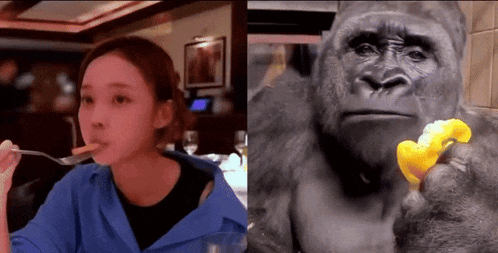 a woman in a blue shirt is eating food next to a gorilla
