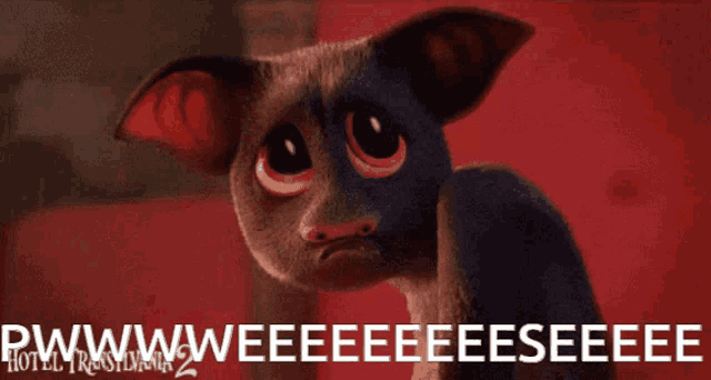 a picture of a cat with the words pwwwwweeeeeeeeeeeeeeee on the bottom