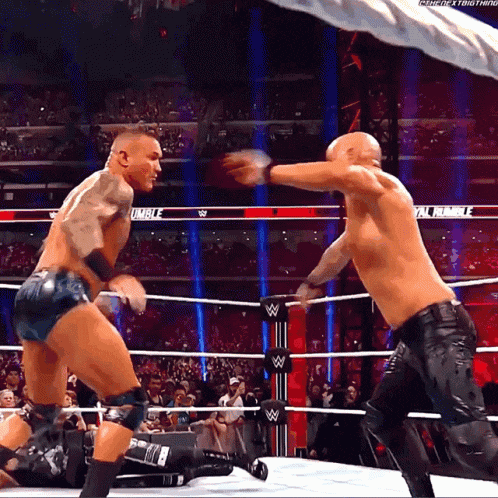 two men are fighting in a wrestling ring and one of them has the word rumble on his shirt