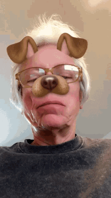 Doggie Snapchat GIF - Doggie Snapchat Dog Filter GIFs
