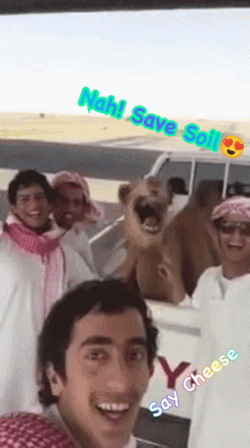 Camel Save Soil GIF - Camel Save Soil Fun GIFs