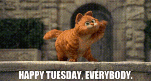 Garfield Happy Tuesday Everybody GIF - Garfield Happy Tuesday Everybody Tuesday GIFs
