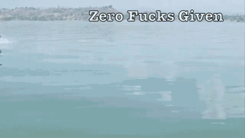 Zero Fucks Given GIF - Zerofucks Jetski GIFs