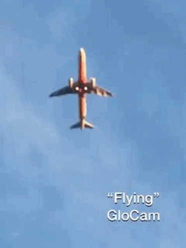 Plain Flying GIF - Plain Flying Airplane GIFs
