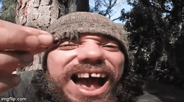 a man with a beard wearing a beanie is holding a small bug in his hand .