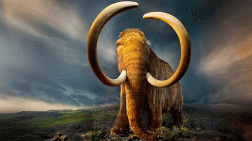 мамонт Mammoth GIF - мамонт Mammoth GIFs