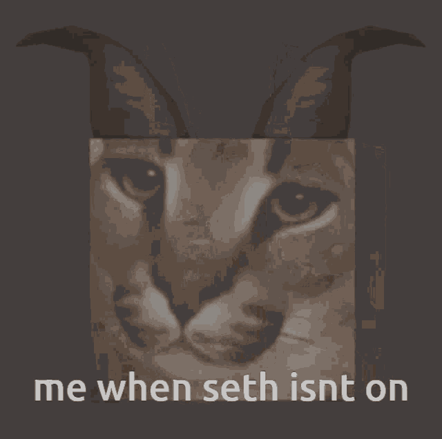 Seth Not GIF - Seth Not On GIFs