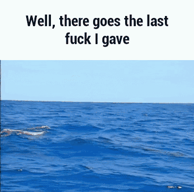 a dolphin is swimming in the ocean with the words well , there goes the last fuck i gave