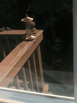 a bird feeder sits on a wooden railing outside