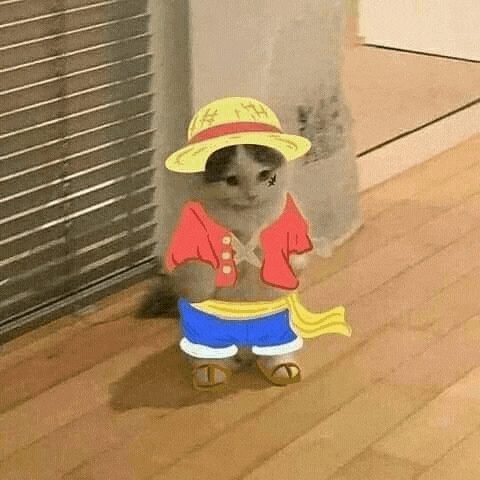 a cat dressed as luffy from one piece is standing next to a wall .