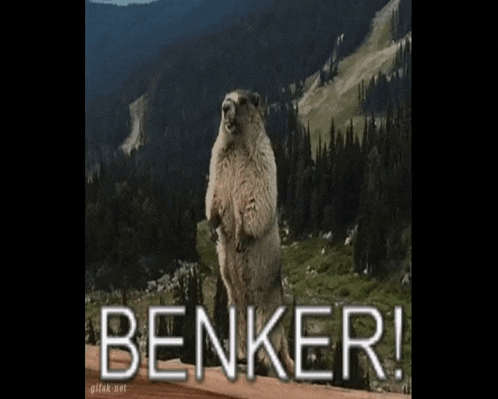 a groundhog is standing on its hind legs with the word benker written above it .