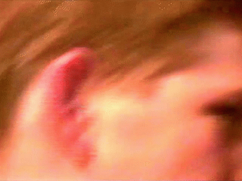 Lee Kolit GIF - Lee Kolit Odd GIFs