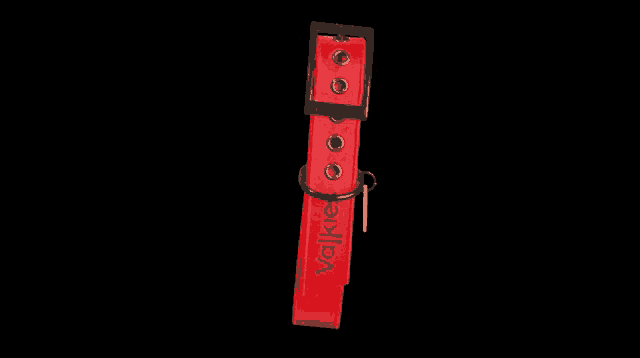 a red dog collar with a black buckle and a tag that says ' dog collar '