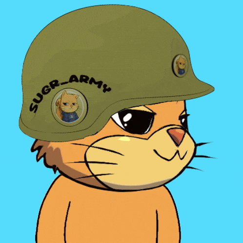 a cat wearing a helmet that says suger-army