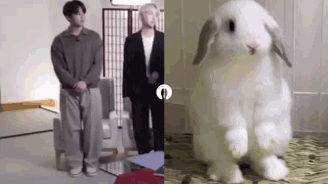 Bunkoo Jungkook Bunny GIF - Bunkoo Jungkook Bunny Jungkook Rabbit GIFs