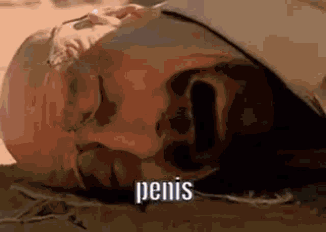 a man with a bandage on his head is laying on the ground with his eyes closed and the word penis written on his face .