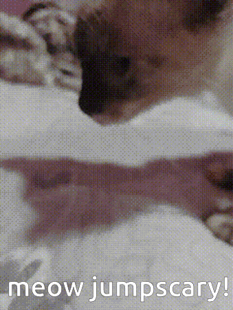 a picture of a cat with the words meow jumpscary written on it