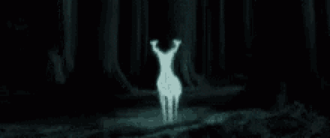 a white deer is glowing in the dark in a forest .