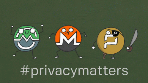 Privacy Pirate GIF - Privacy Pirate Monero GIFs