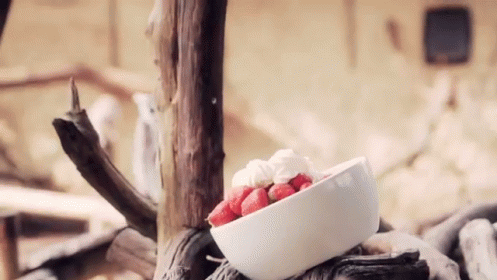 Desserts?! GIF - Lemurs Curious Hungry GIFs