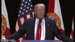 Trump Orange GIF - Trump Orange Drumpf GIFs