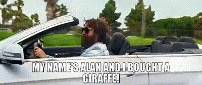 Alan Hangover GIF - Alan Hangover Zach Galifianakis GIFs