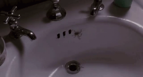 Sink Nightmare - Nightmare GIF - Sink Spiders GIFs