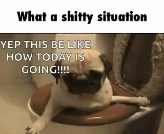 Shitty Situation Pug GIF - Shitty Situation Pug Fml GIFs