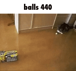 a cat is playing with a box of diet coke balls