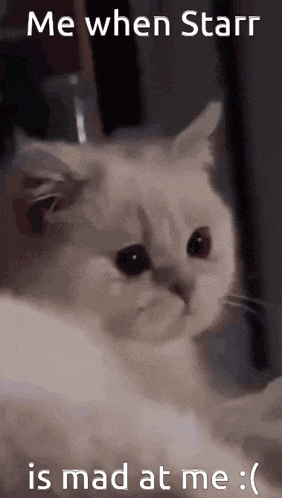 a white cat with a caption that says me when starr is mad at me .