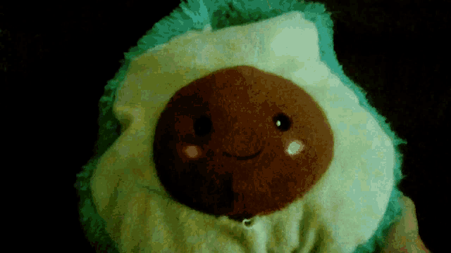 a person is holding a stuffed avocado that has a face on it
