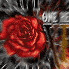 a red rose is in the middle of a black and white background