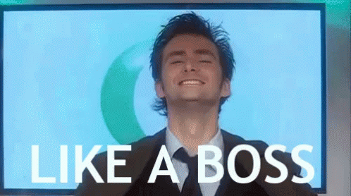10th Doctor, Like A Boss - Doctor Who GIF - Boss GIFs