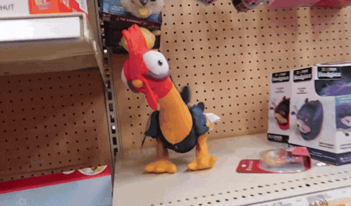 a stuffed chicken is on a shelf next to a box that says ' magician ' on it