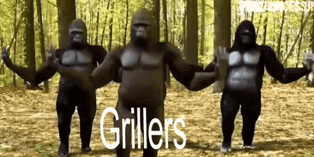 Griller Grillers GIF - Griller Grillers Gorilla GIFs