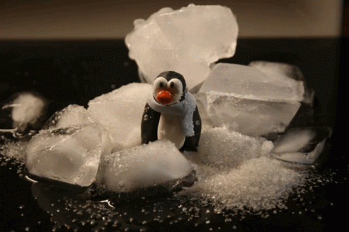 Penguin Ice GIF - Penguin Ice GIFs