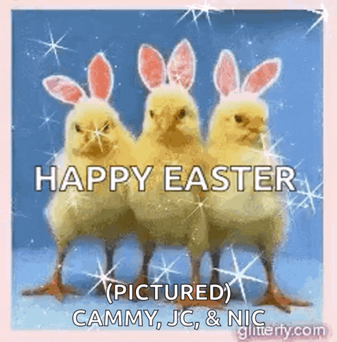 three chickens wearing bunny ears are standing next to each other with the words happy easter pictured cammy jc and nic