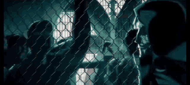 a group of people are behind a chain link fence talking to each other .