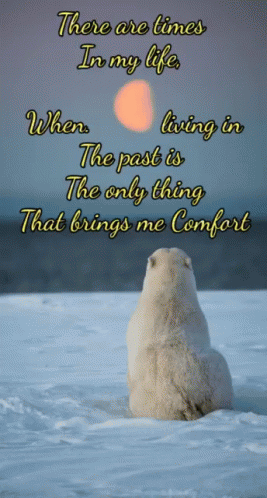 Polar Bear GIF - Polar Bear Living In The Past GIFs